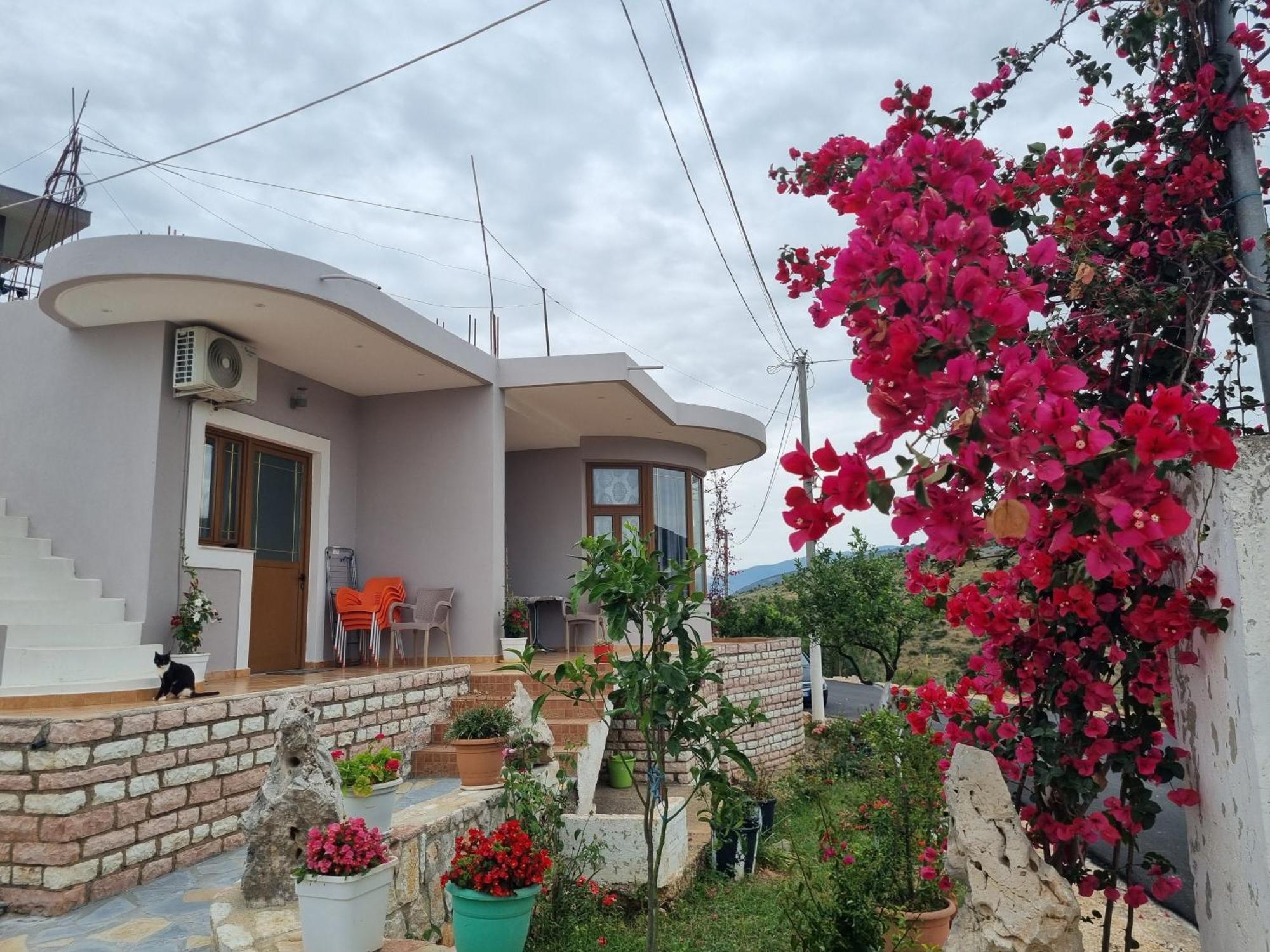 Apartment Besnik Brahimi קסאמיל מראה חיצוני תמונה