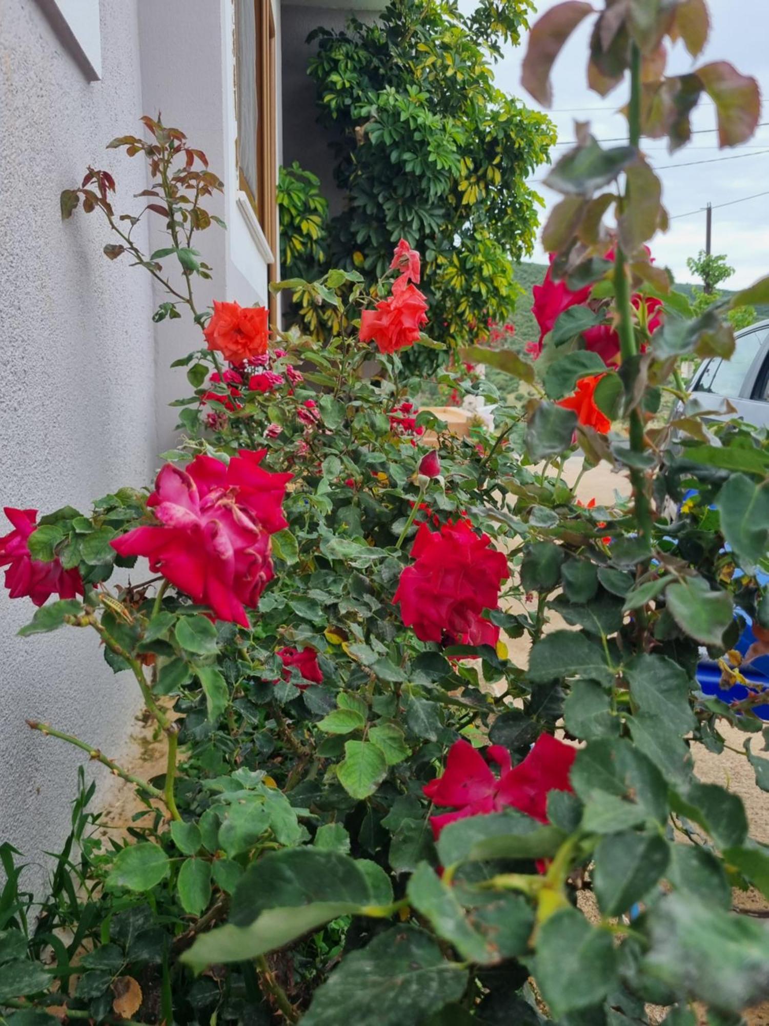 Apartment Besnik Brahimi קסאמיל מראה חיצוני תמונה